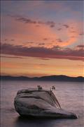 JW - bonsai rock glow 361